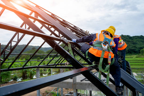 Best Roof Gutter Cleaning  in Hancock, MI