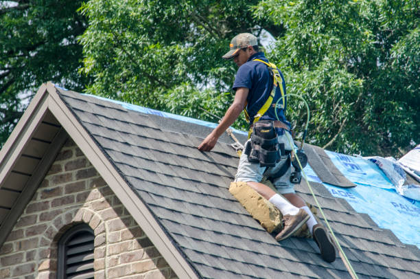 Best Roof Leak Repair  in Hancock, MI